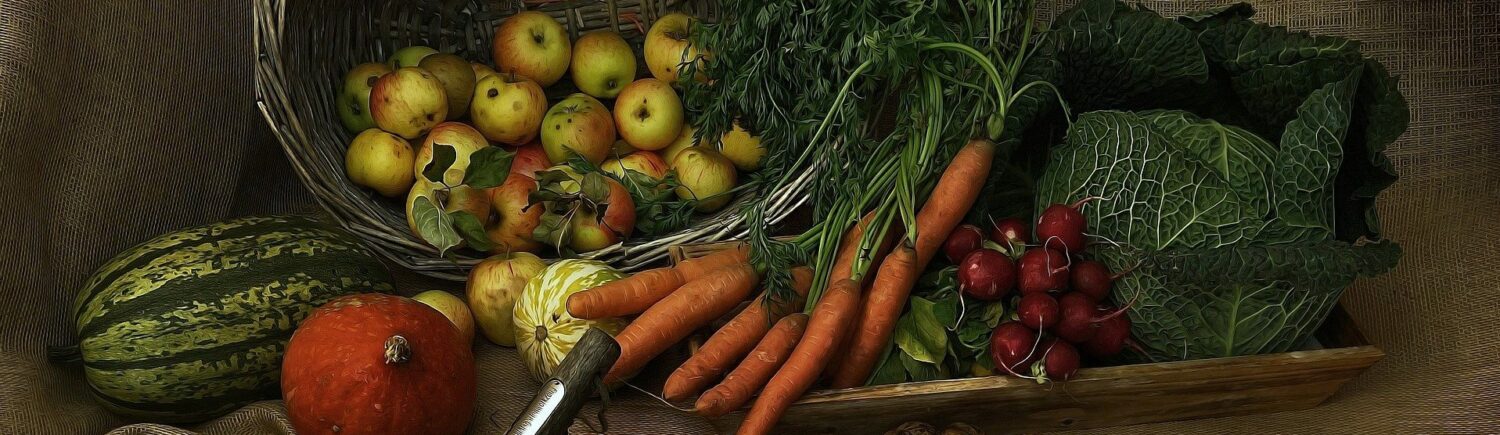 Les Radis Actifs-AMAP de Châtillon