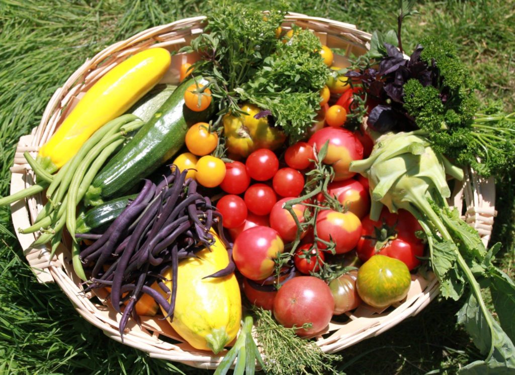 panier de légumes du soleil