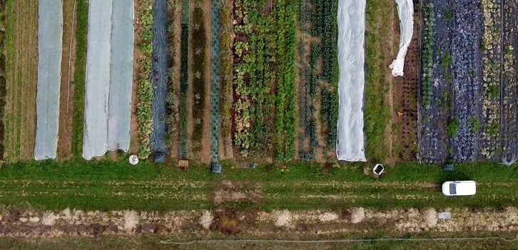 Chantiers de printemps, d’été et d’automne 2025 aux Trois parcelles