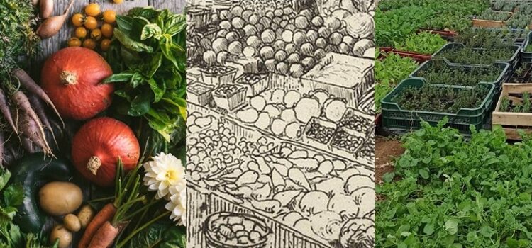 Chantiers participatifs 2026 : à vos agendas !