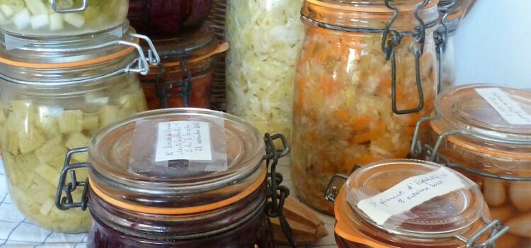 Défi Lacto : les préparatifs Défi Lacto : les préparatifs