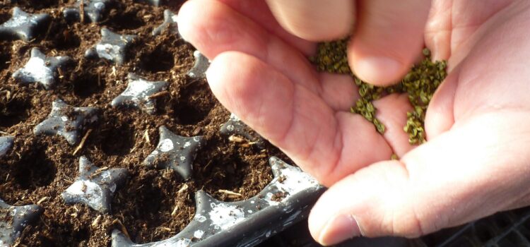 À la ferme, on sème