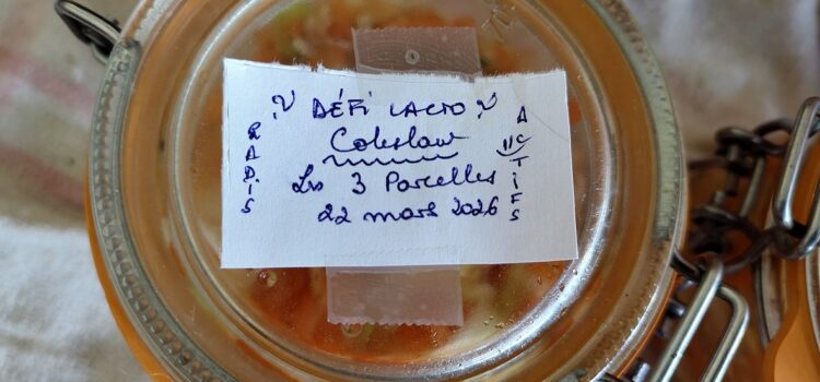 Défi Lacto : Atelier Coleslaw