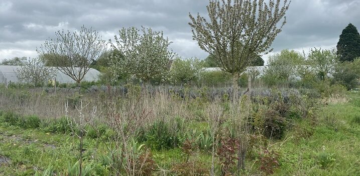 Des bras, de la terre, de la bonne humeur