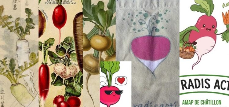 Les Radis Actifs s&rsquo;affichent