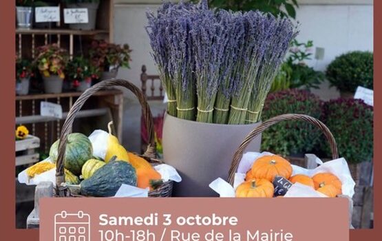 Les Radis Actifs à la Fête des saveurs 2026